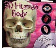 3D Human Body