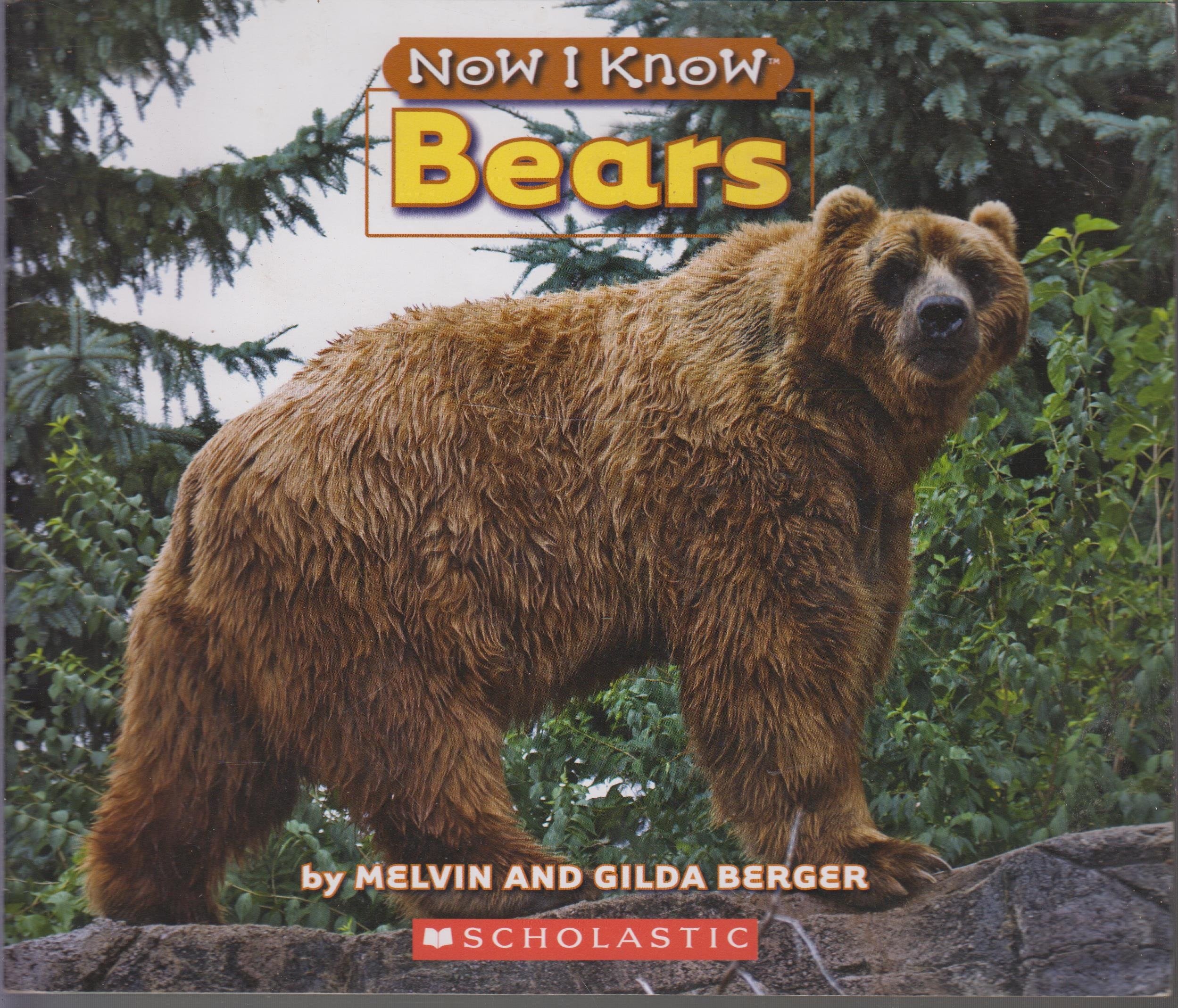 Now I Know: Bears