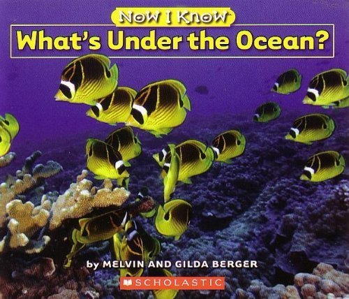 Now I Know: What's Under the Ocean?
