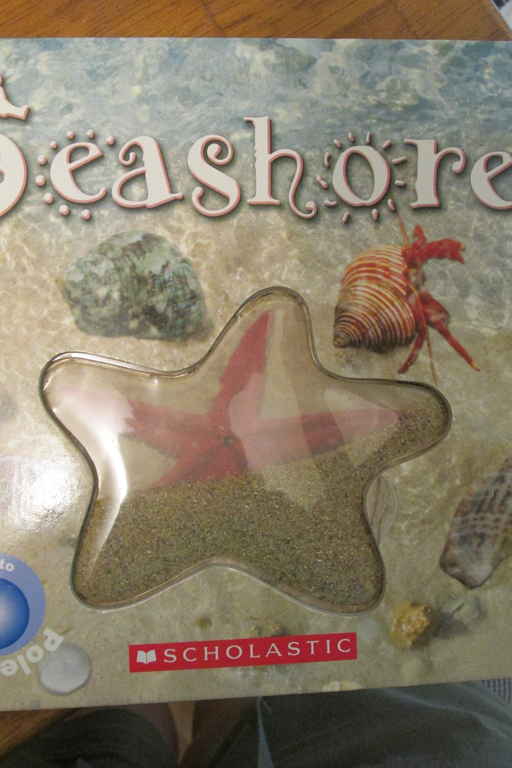 Seashore