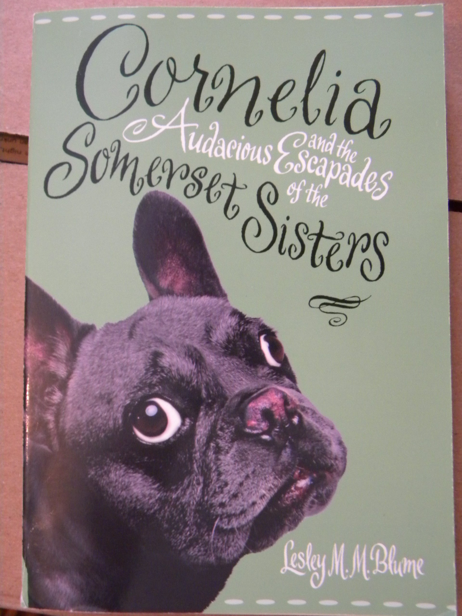 Cornelia and the Audacious Escapades of the Somerset Sisters