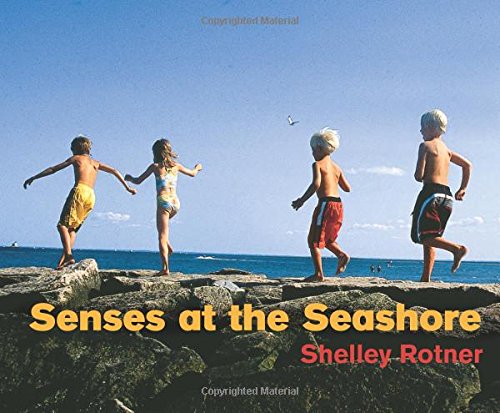 Senses At The Seashore