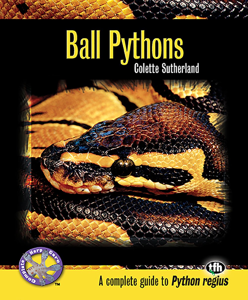 ball-pythons
