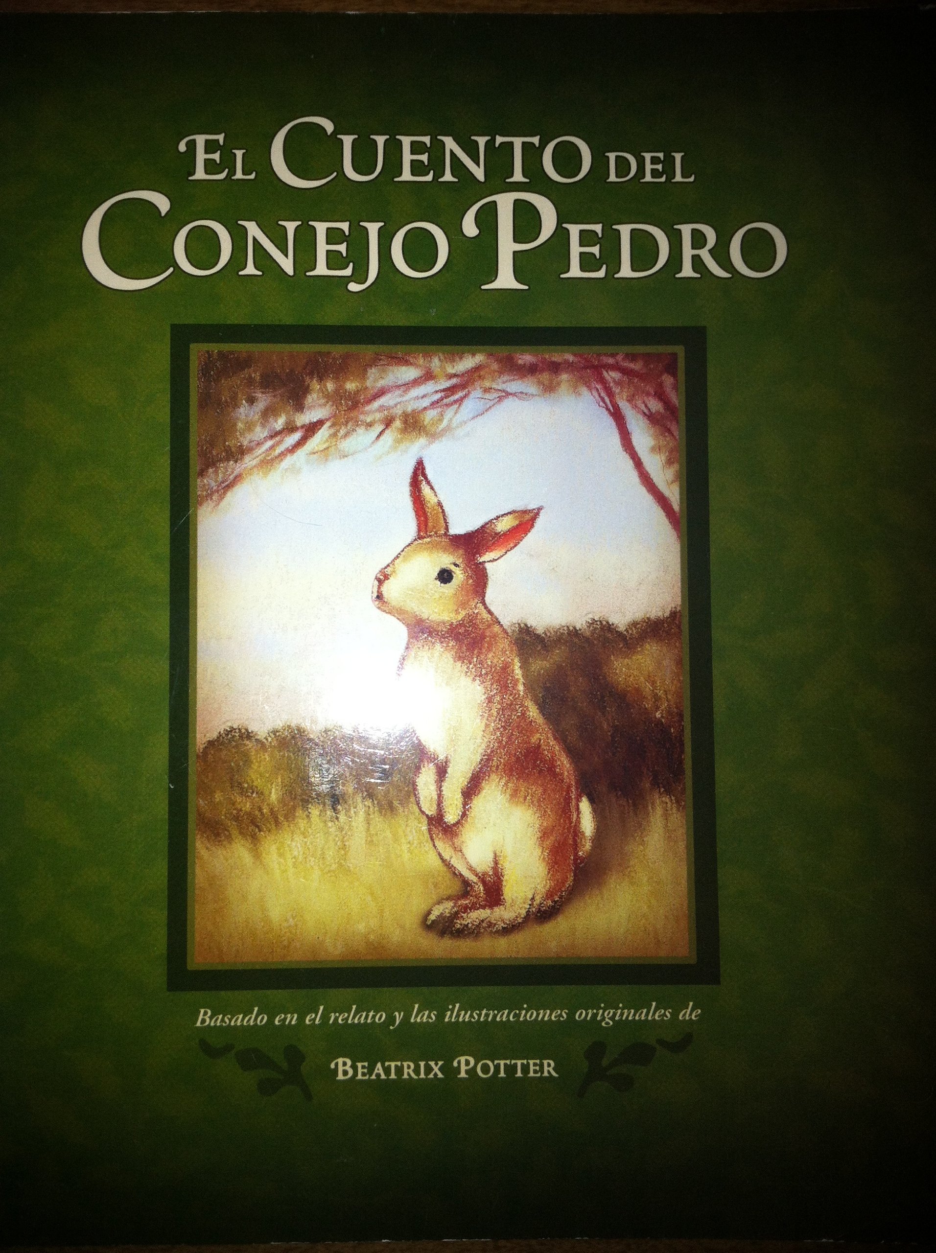 El Cuento Del Conejo Pedro (Spanish Edition)