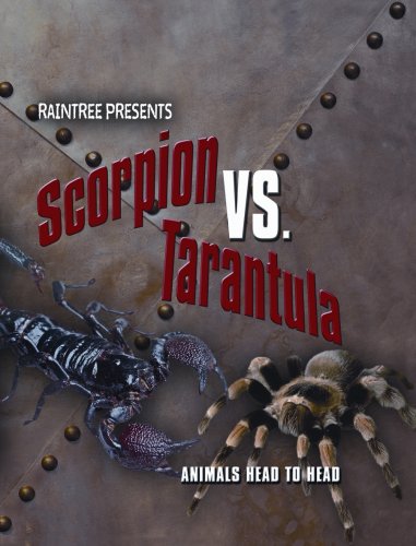 Scorpion vs. Tarantula (Animals Head To Head)
