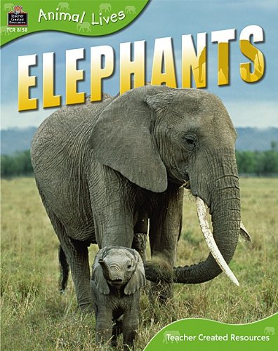 Animal Lives: Elephants