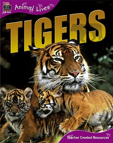 Tigers (Animal Lives)