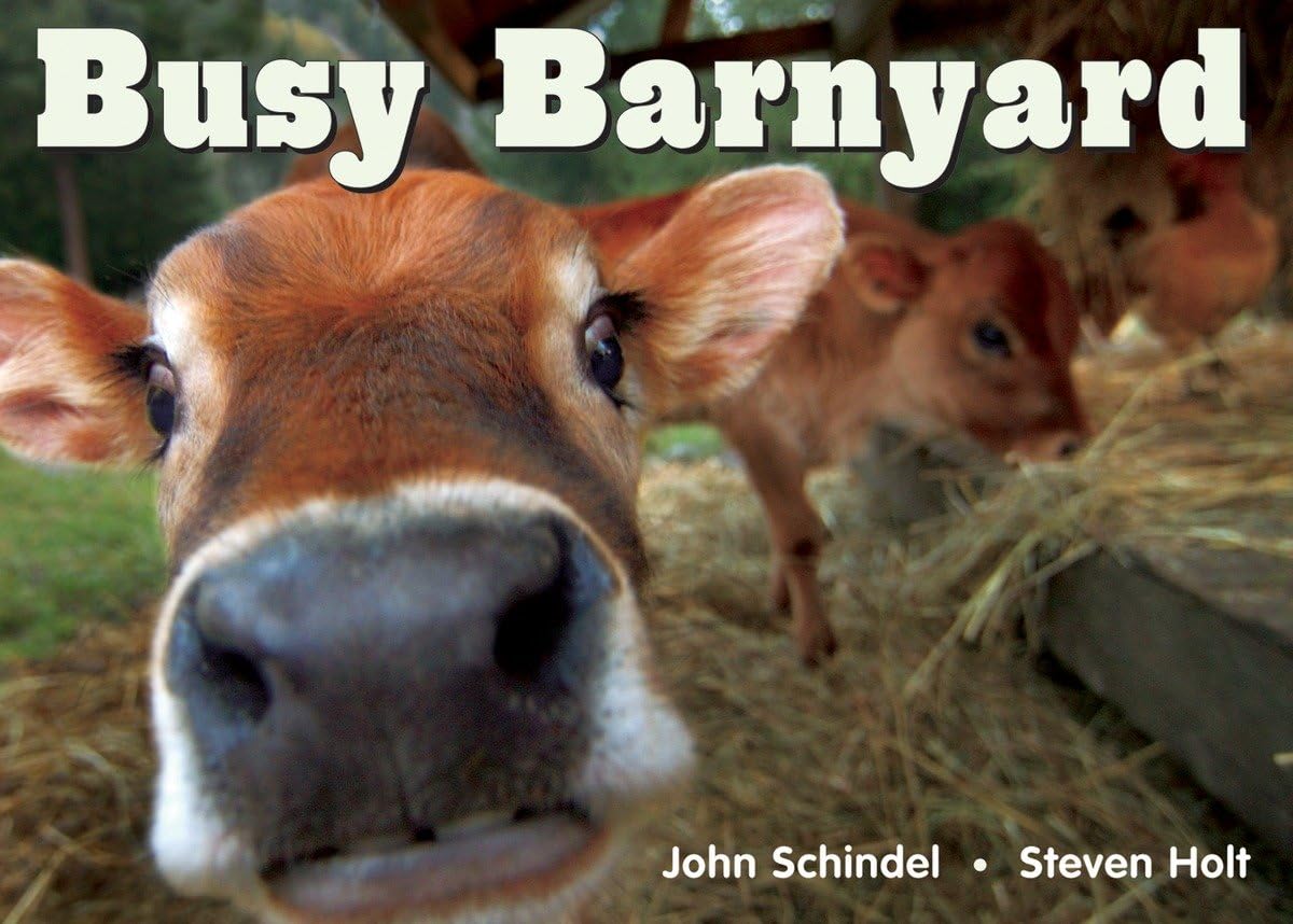 Busy Barnyard (A Busy Book)