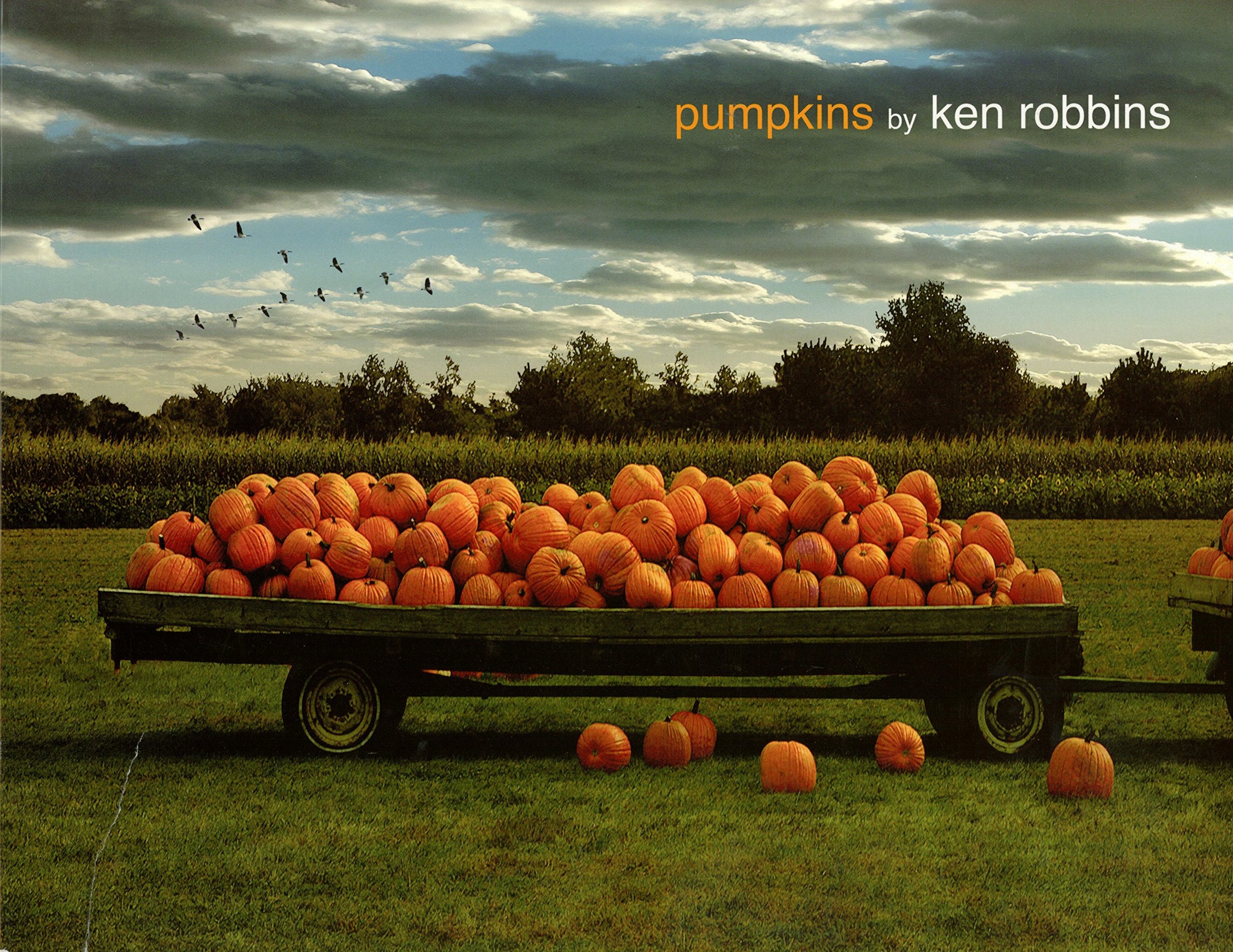 Pumpkins