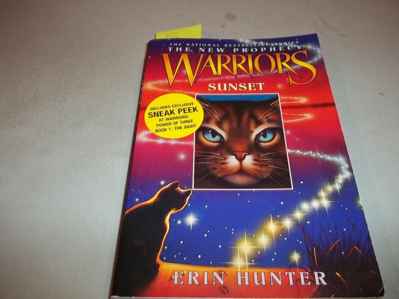 Sunset (Warriors: The New Prophecy, Book 6)