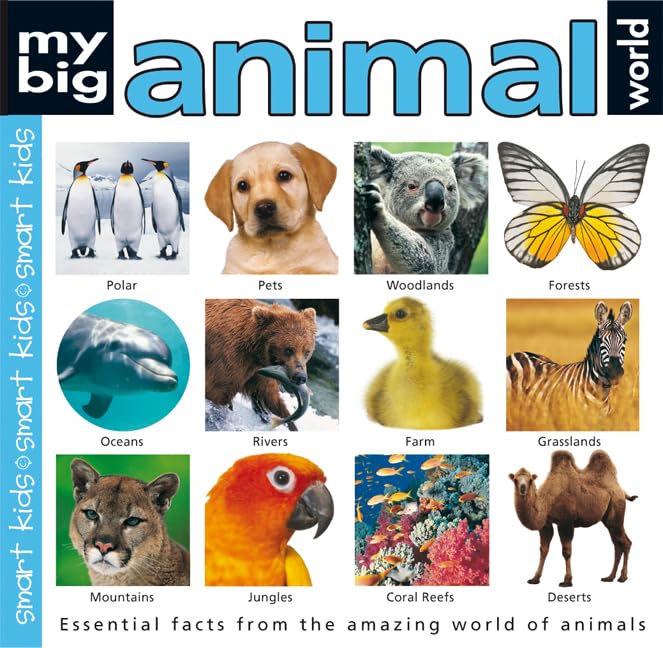 My Big Animal World Book (My Big Reference)