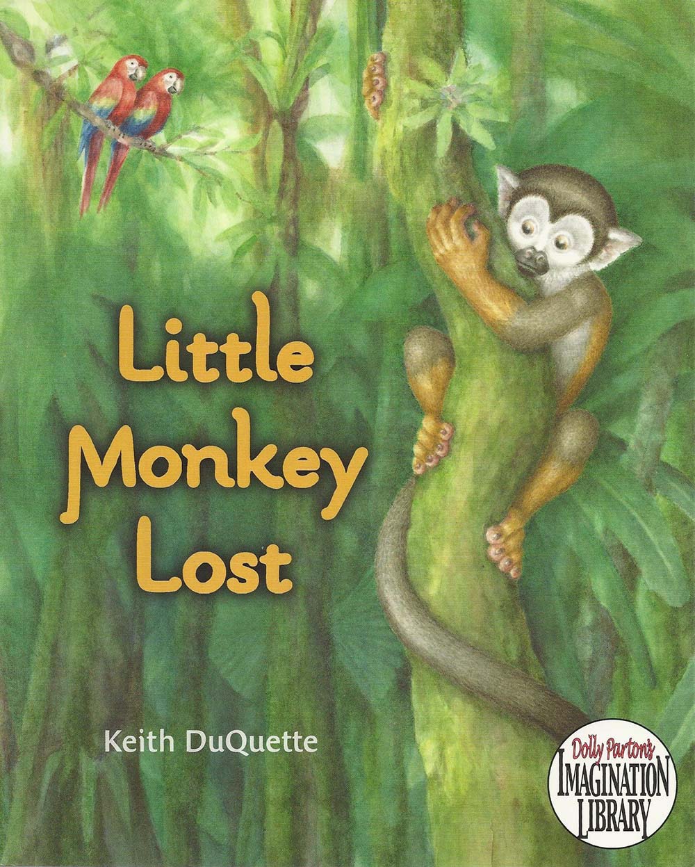 Little Monkey Lost