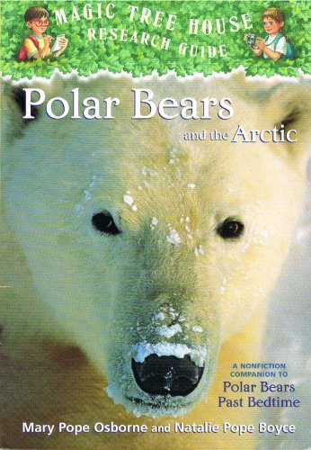 Polar Bears And The Artic