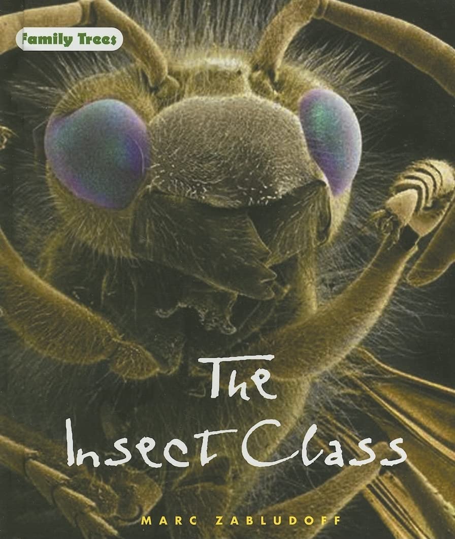 The Insect Class (FAMILY TREES)