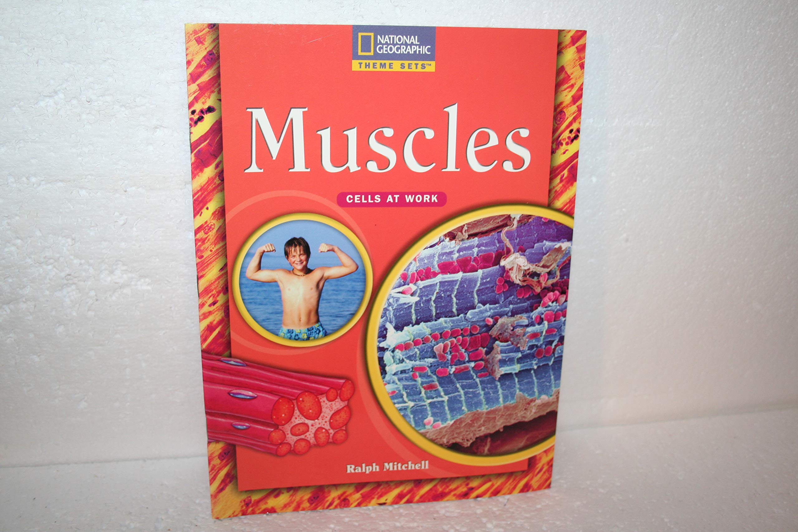 Theme Sets: Muscles