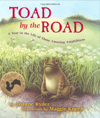 Toad by the Road: A Year in the Life of These Amazing Amphibians