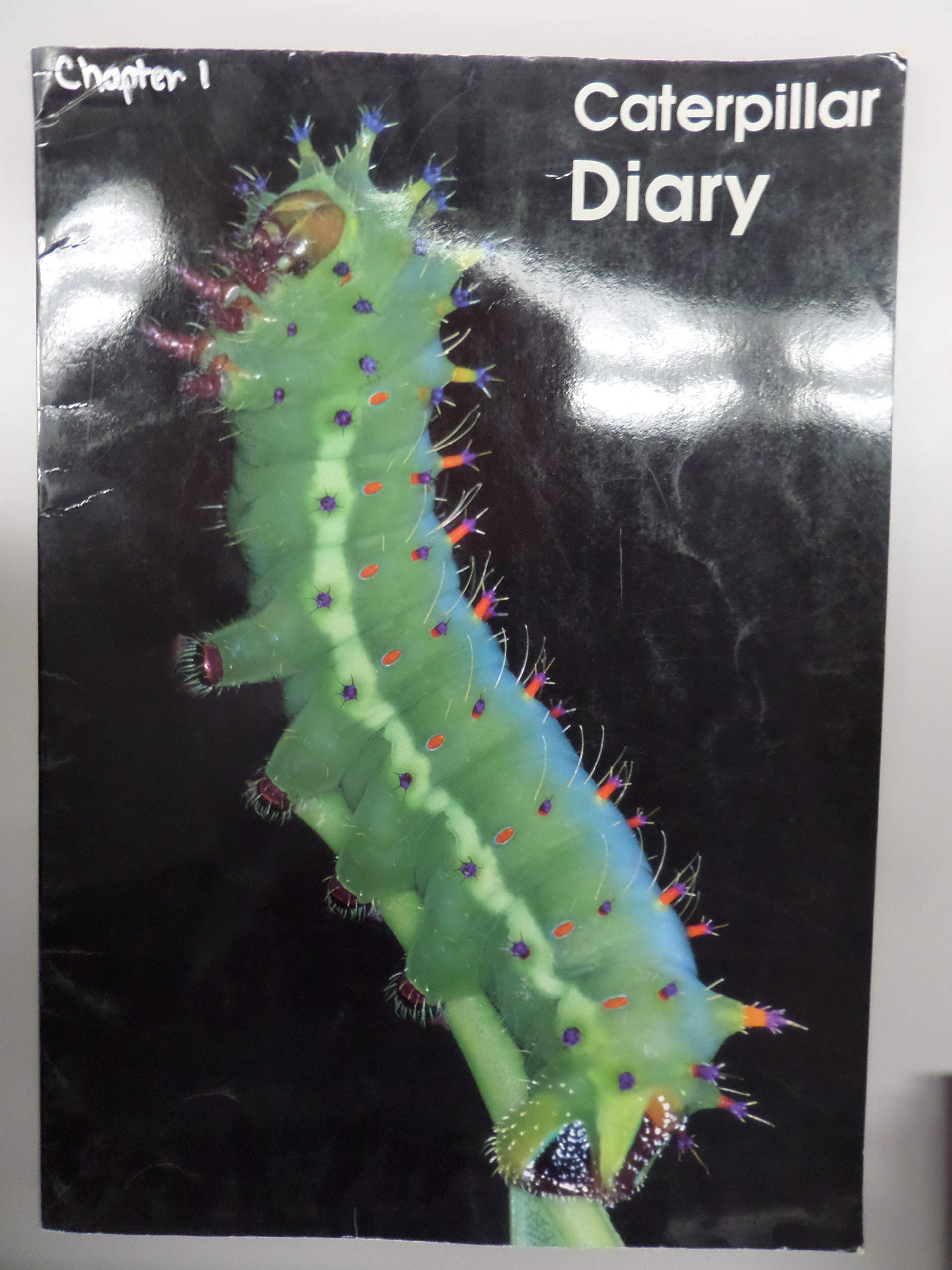Caterpillar Diary (Informazing)