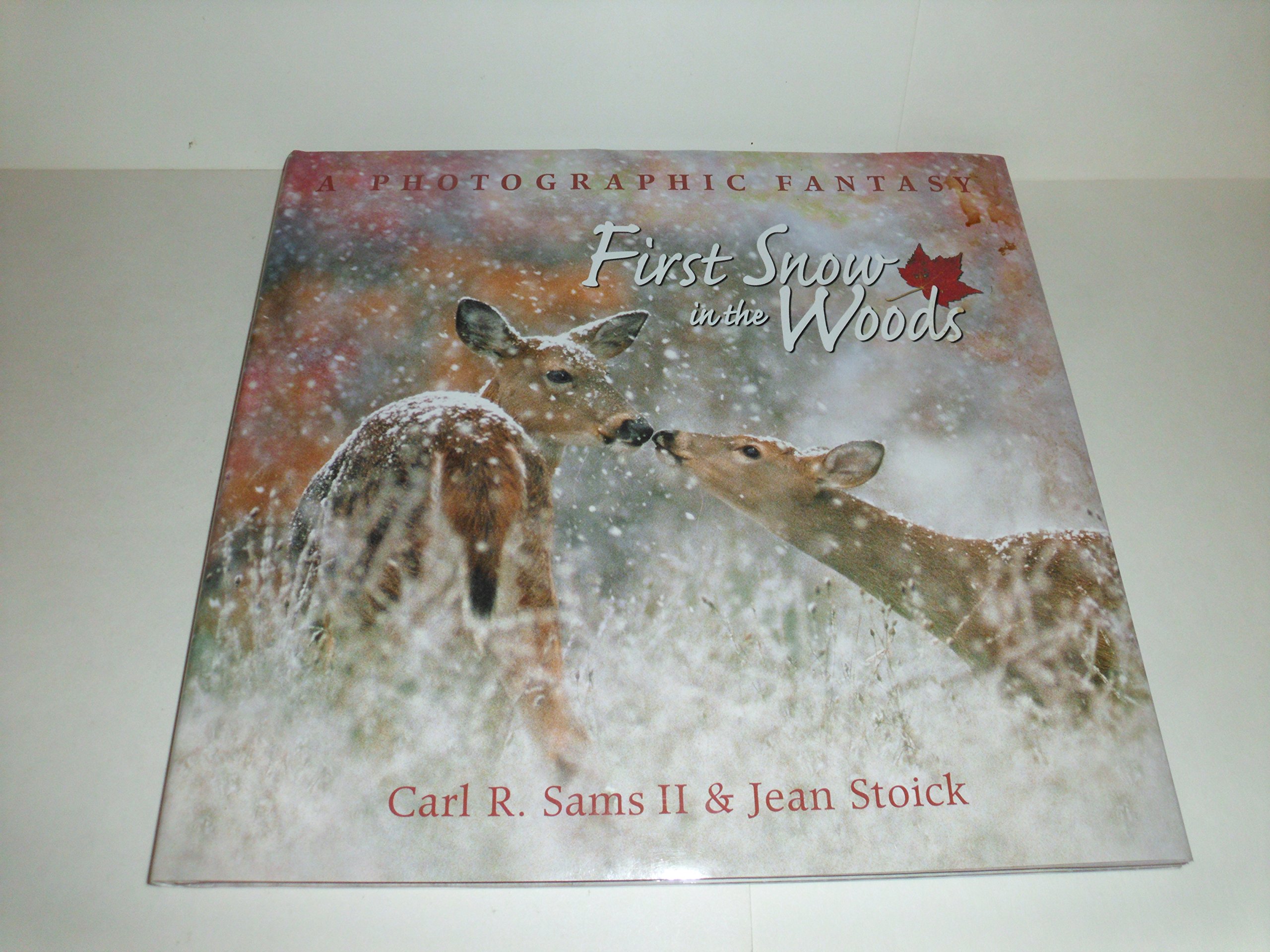 First Snow in the Woods: A Photographic Fantasy