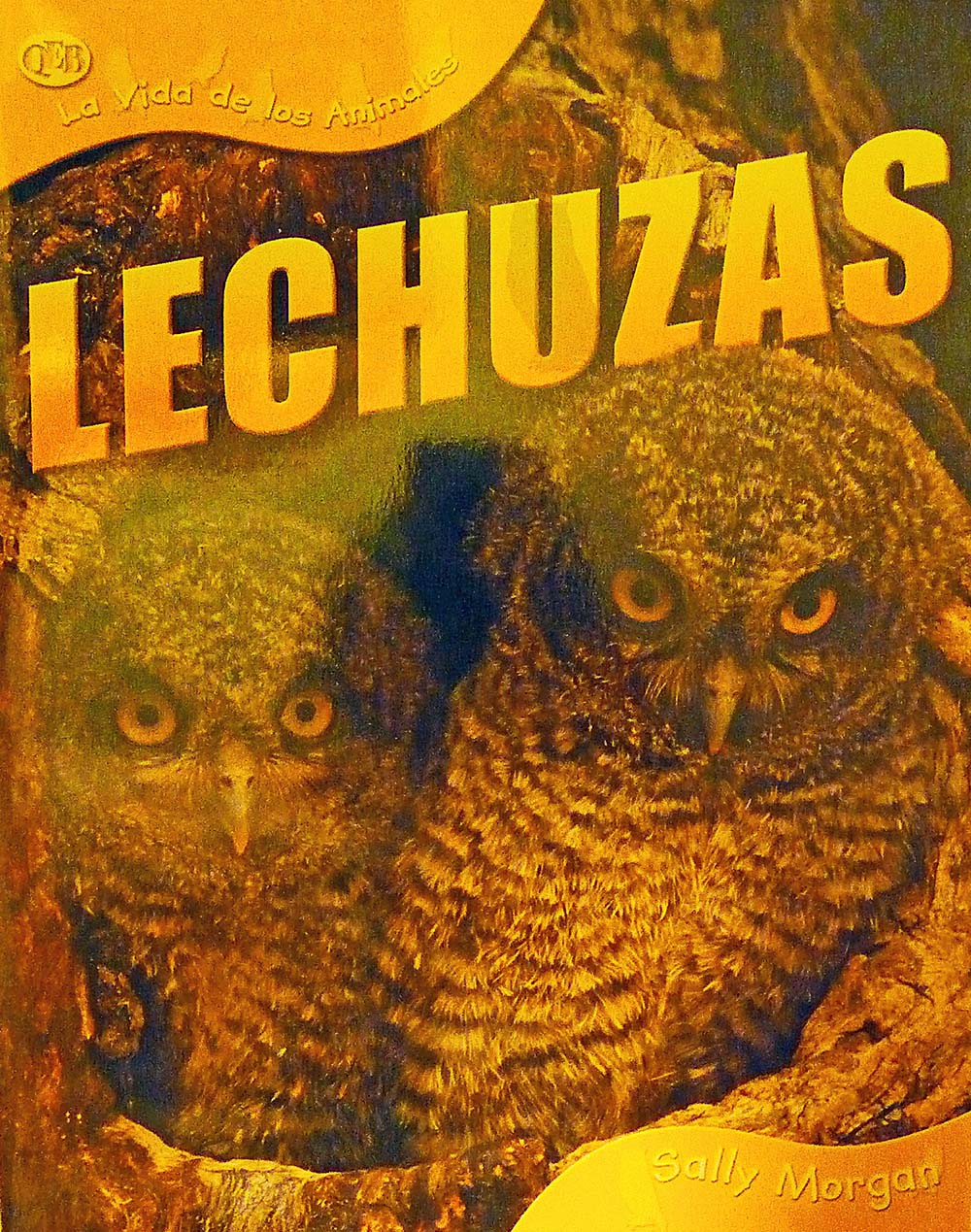 Lechuzas (La Vida de los Animales)