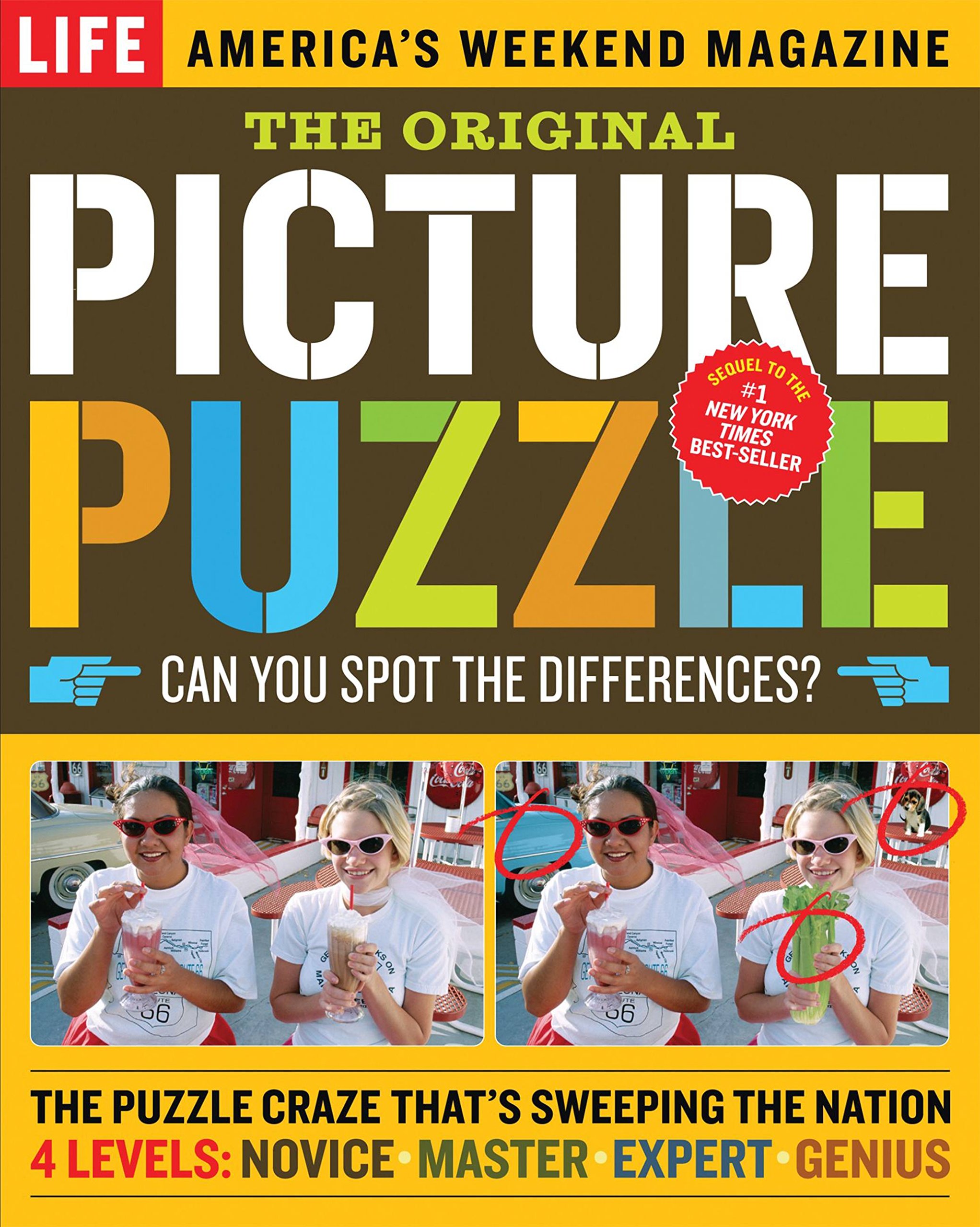 Life: The Original Picture Puzzle