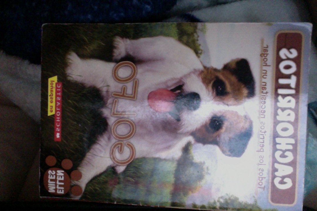 Golfo (Scholastic in Espanol) (Cachorritos)