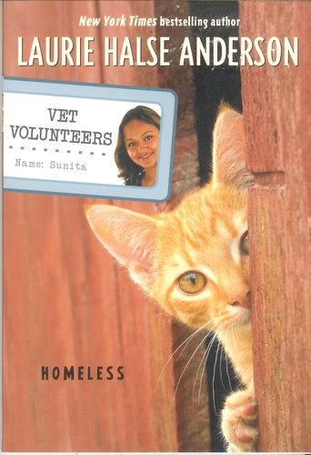 Vet Volunteers Homeless