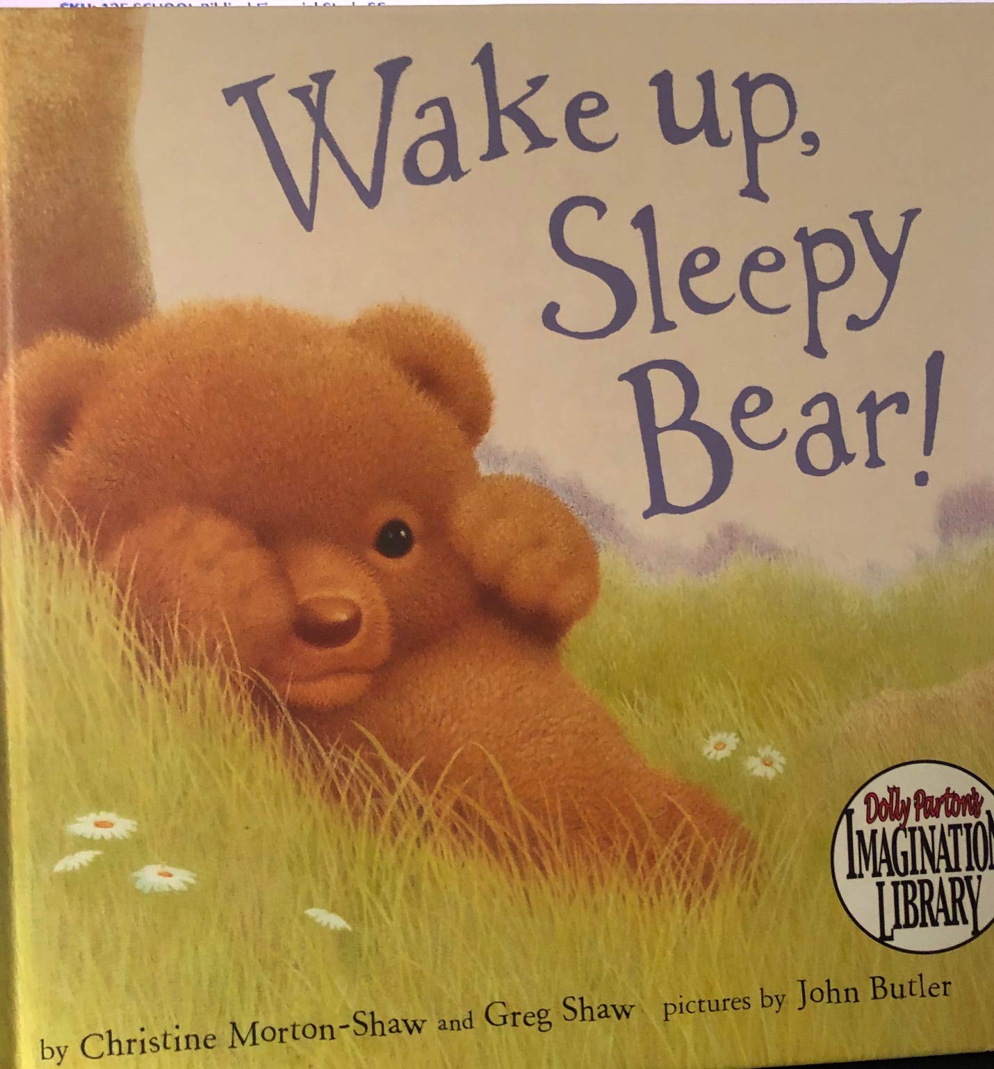 Wake Up, Sleepy Bear