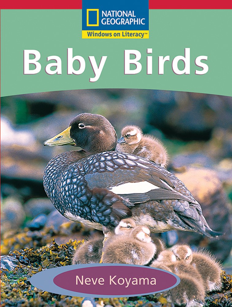 Windows on Literacy Emergent (Science: Life Science): Baby Birds (Language, Literacy, and Vocabulary - Windows on Literacy)