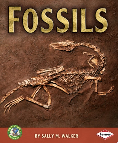 Fossils