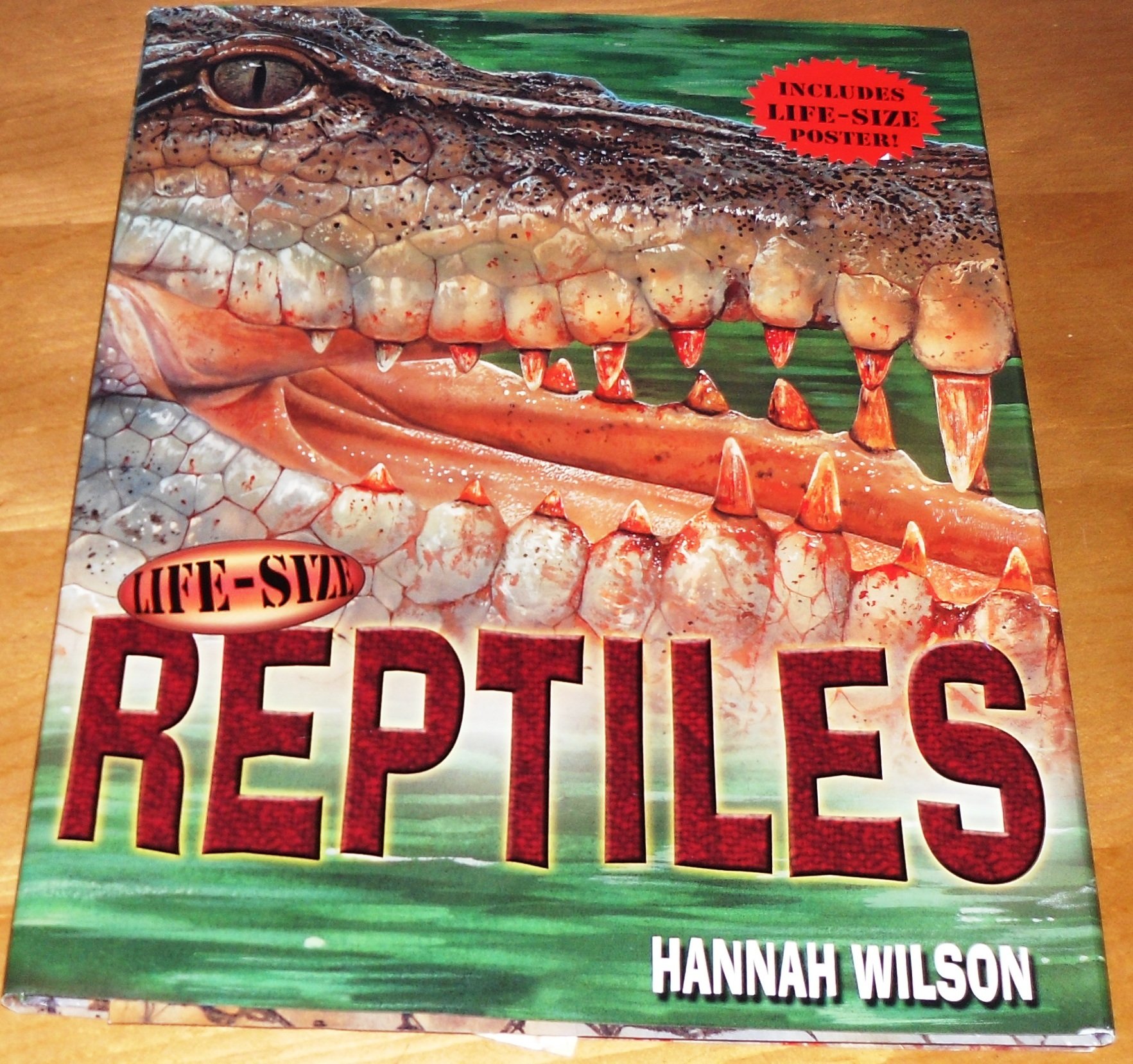 Life-Size Reptiles (Life-Size Series)