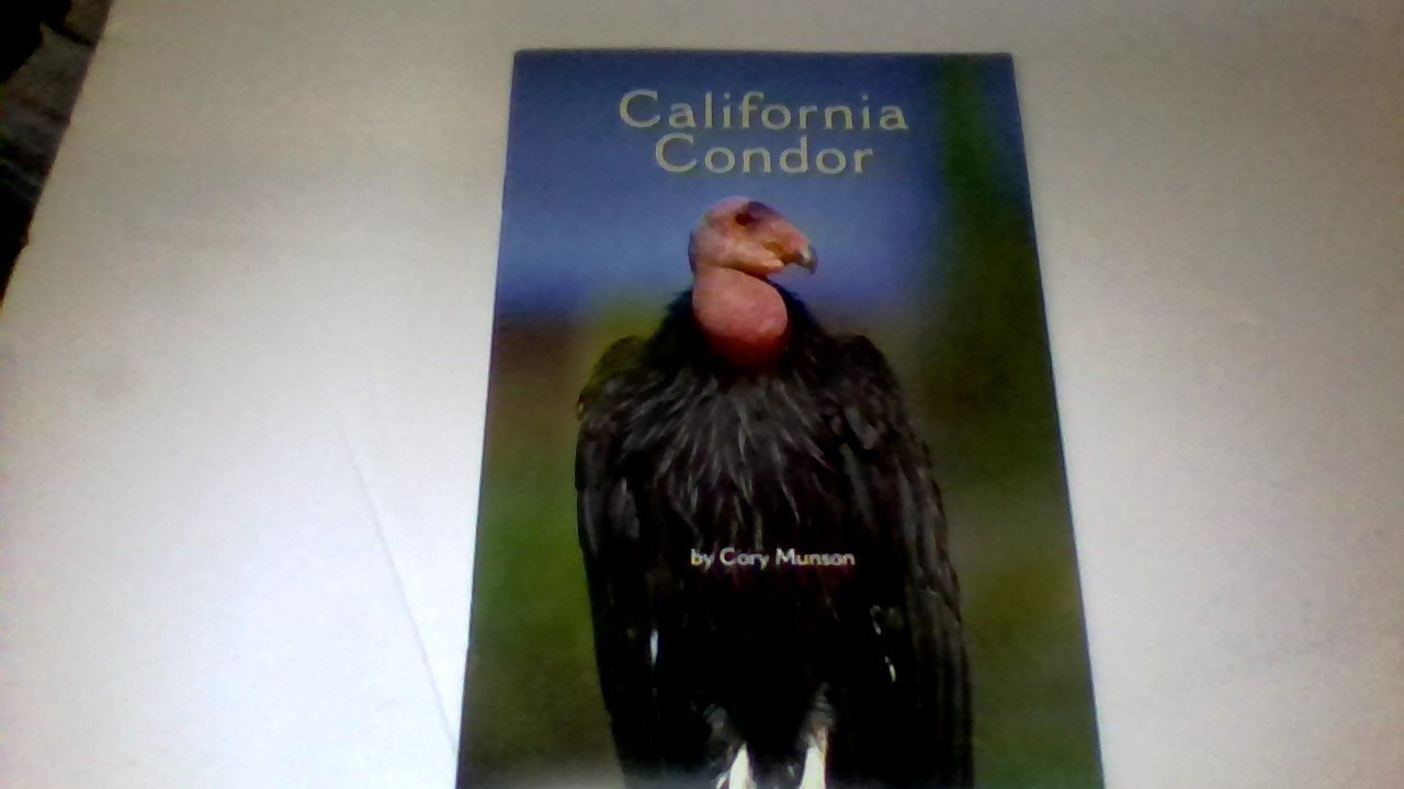 California Condor