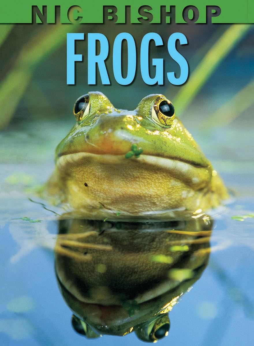 Frogs