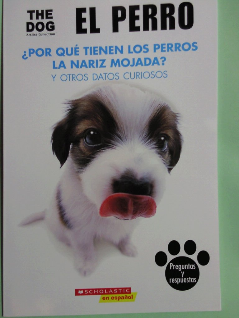 THE DOG ARTIST COLLECTION EL PERRO