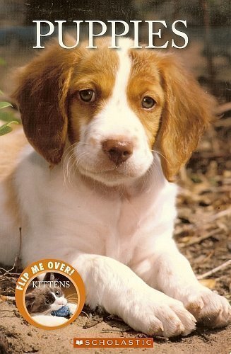 Puppies/Kittens