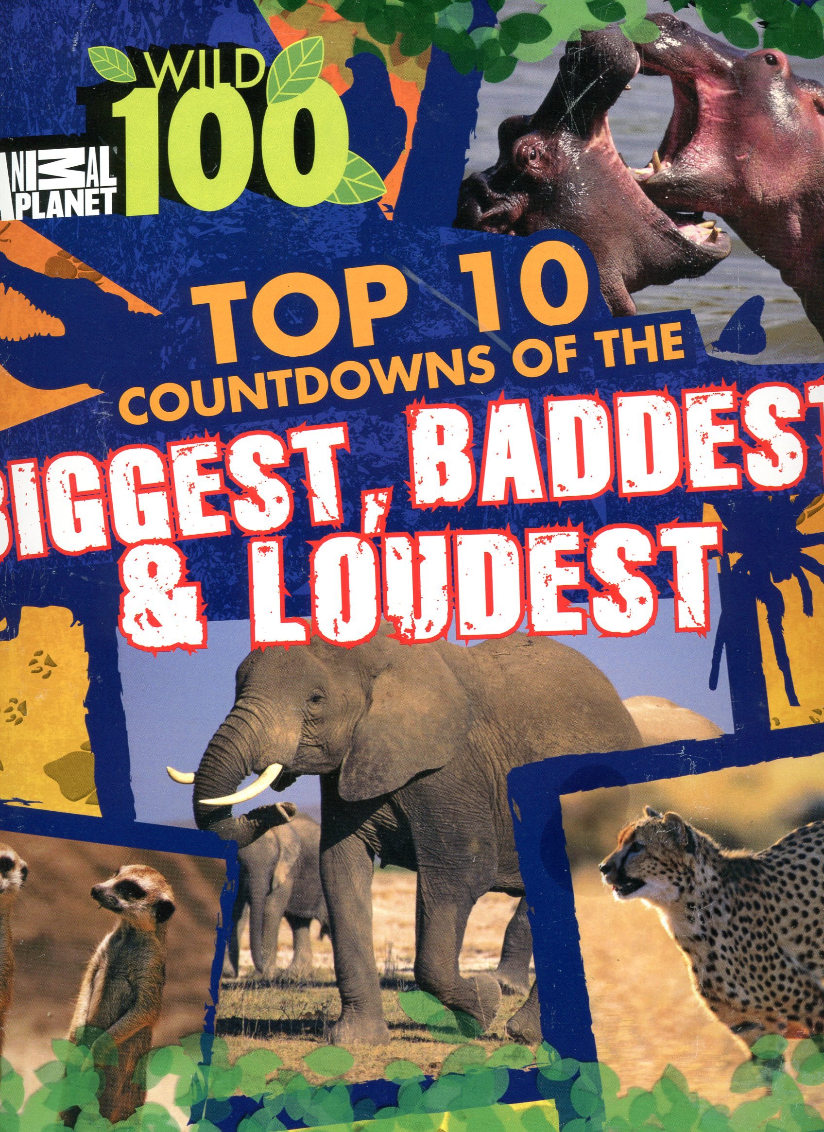 Aminal Planet Wild 100 (Top 10 countdowns of the biggest,baddest.loudest)
