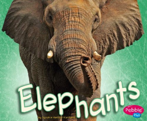 Elephants (African Animals)