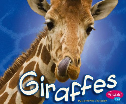 Giraffes (African Animals)