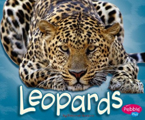Leopards (African Animals)