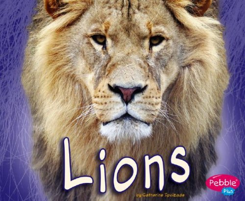 Lions (African Animals)