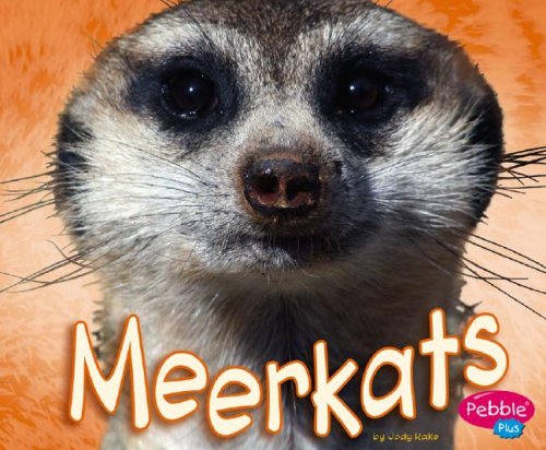 Meerkats (African Animals)
