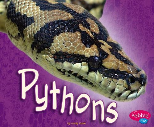 Pythons (African Animals)