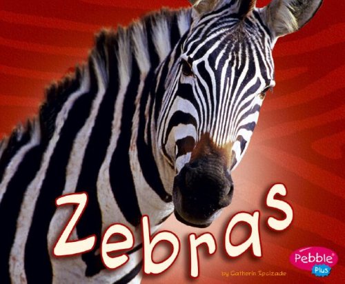 Zebras (African Animals)
