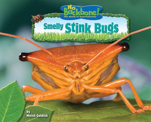 Smelly Stink Bugs (No Backbone! Insects)