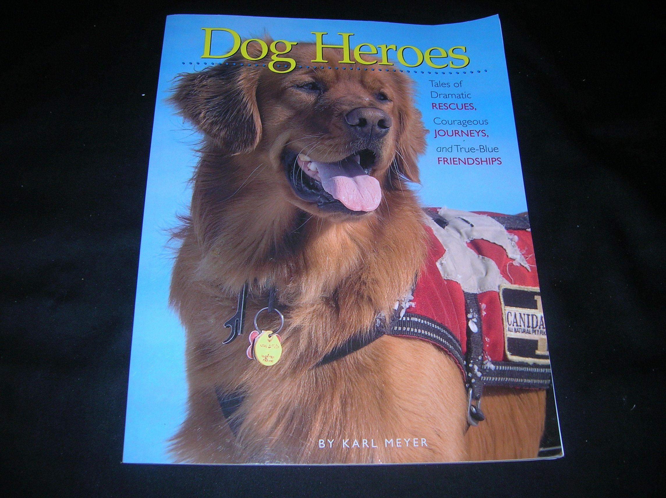 Dog Heroes