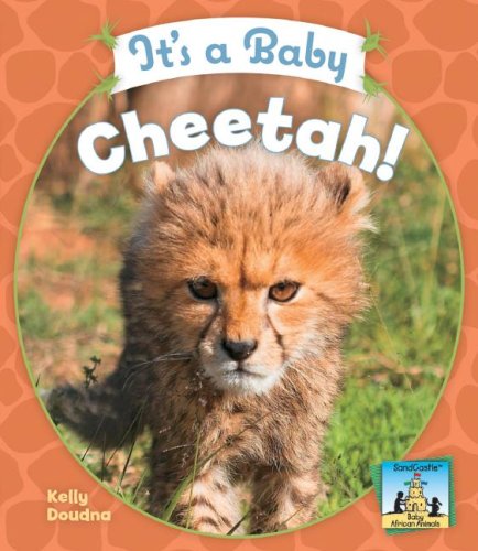 It's a Baby Cheetah! (Baby African Animals)