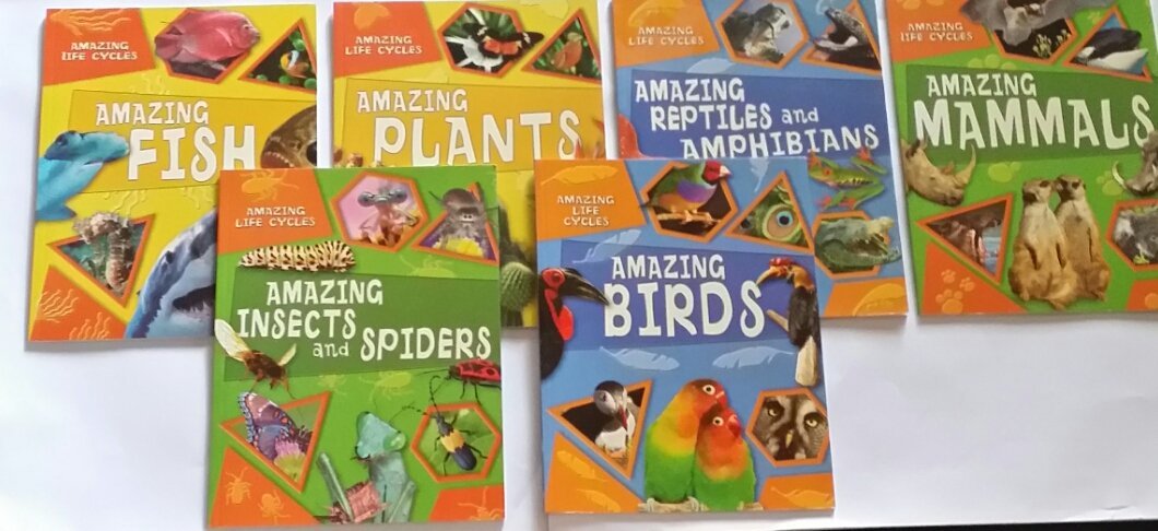 WR Amazing Life Cycles 6 Set: BIRDS, REPTILES AND AMPHIBIANS, MAMMALS, INSECTS AND SPIDERS, PLANTS, FISH (AMAZING LIFE CYCLES)