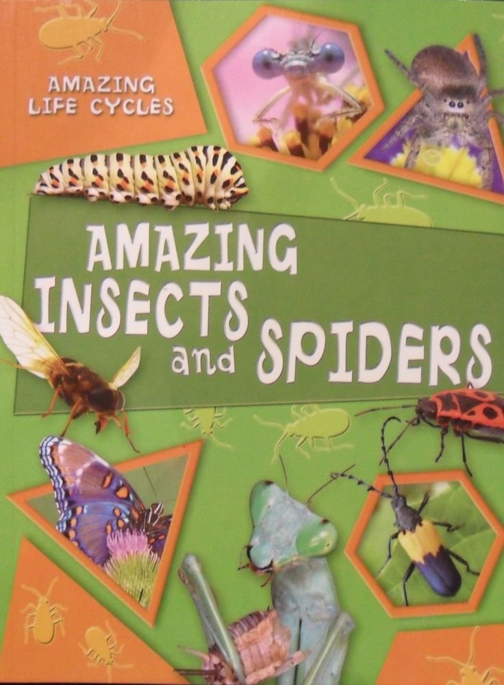 Amazing Insects and Spiders (Amazing Life Cycles) by George McGavin (2008-05-03)