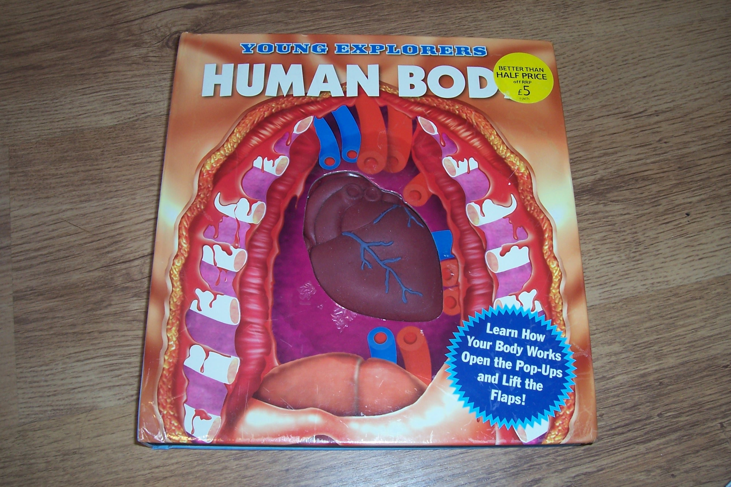 Young Explorers Human Body