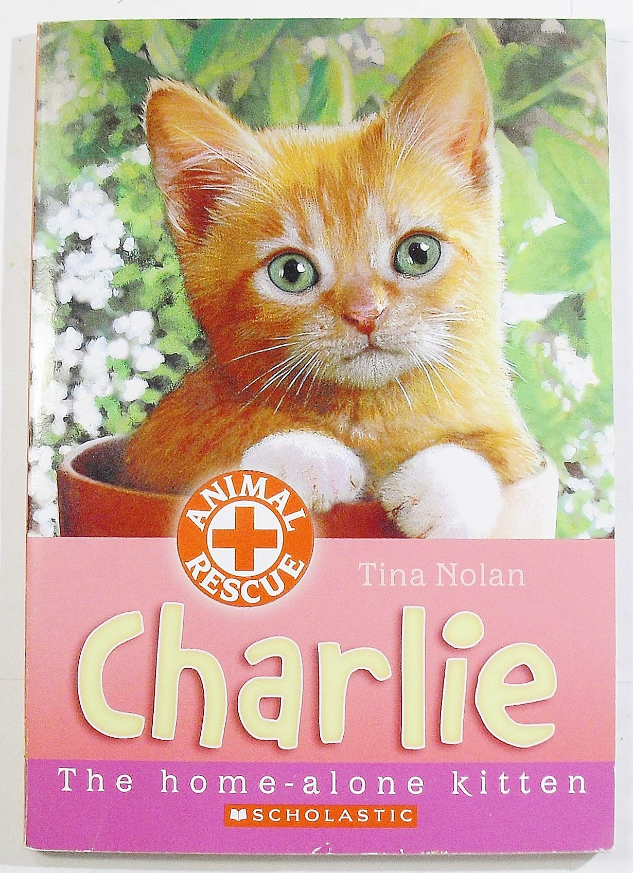 Charlie: The Home-Alone Kitten