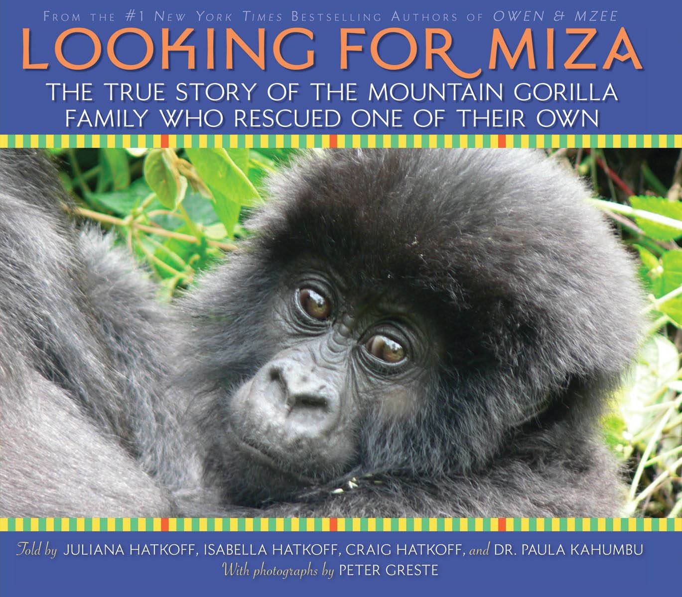 Looking For Miza: The True Story of the Mountain Gorilla Family Who Rescued on of Their Own